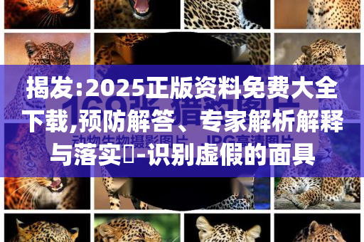 揭發(fā):2025正版資料免費(fèi)大全下載,預(yù)防解答、專家解析解釋與落實(shí)?-識別虛假的面具