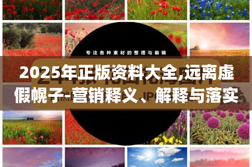 2025年正版資料大全,遠(yuǎn)離虛假幌子-營銷釋義、解釋與落實(shí)