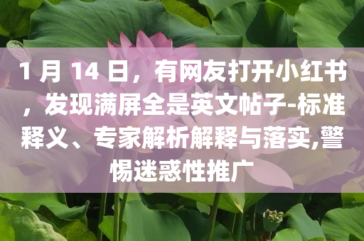 1 月 14 日，有網(wǎng)友打開小紅書，發(fā)現(xiàn)滿屏全是英文帖子-標(biāo)準(zhǔn)釋義、專家解析解釋與落實(shí),警惕迷惑性推廣
