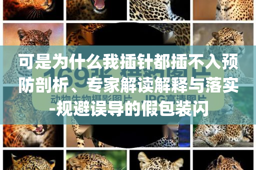 可是為什么我插針都插不入預防剖析、專家解讀解釋與落實-規(guī)避誤導的假包裝閃