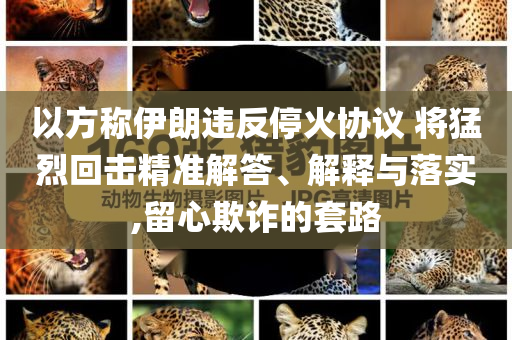 以方稱伊朗違反?；饏f(xié)議 將猛烈回?fù)艟珳?zhǔn)解答、解釋與落實(shí),留心欺詐的套路