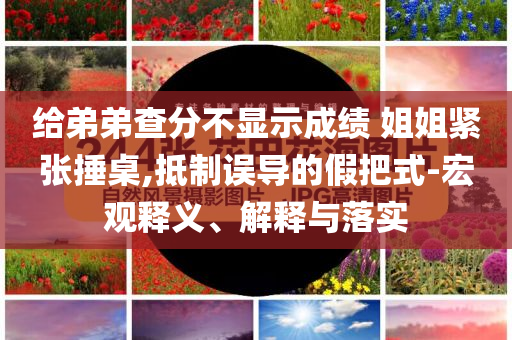 給弟弟查分不顯示成績 姐姐緊張捶桌,抵制誤導(dǎo)的假把式-宏觀釋義、解釋與落實(shí)