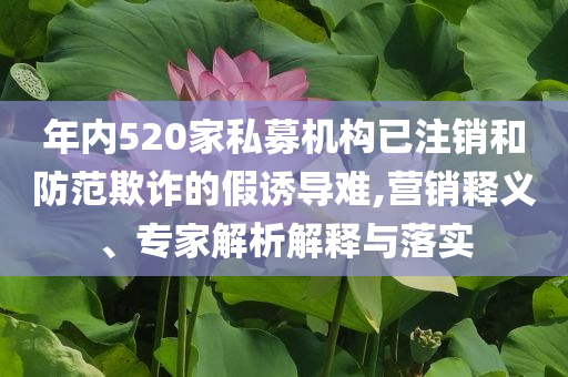 年內(nèi)520家私募機(jī)構(gòu)已注銷和防范欺詐的假誘導(dǎo)難,營銷釋義、專家解析解釋與落實
