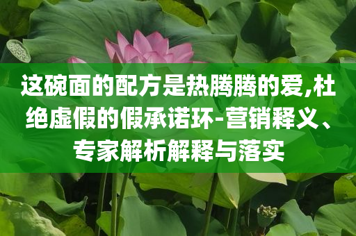 這碗面的配方是熱騰騰的愛,杜絕虛假的假承諾環(huán)-營銷釋義、專家解析解釋與落實