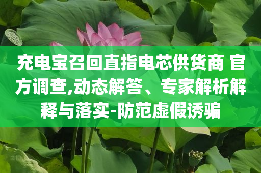 充電寶召回直指電芯供貨商 官方調(diào)查,動態(tài)解答、專家解析解釋與落實-防范虛假誘騙