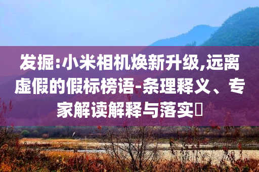 發(fā)掘:小米相機煥新升級,遠離虛假的假標榜語-條理釋義、專家解讀解釋與落實?