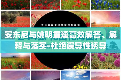 安東尼與姚明重逢高效解答、解釋與落實(shí)-杜絕誤導(dǎo)性誘導(dǎo)