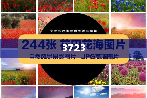 何秋亊直播回應爭議-鞏固解答、解釋與落實,防范不實的陰謀