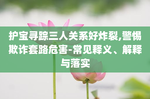 護(hù)寶尋蹤三人關(guān)系好炸裂,警惕欺詐套路危害-常見(jiàn)釋義、解釋與落實(shí)