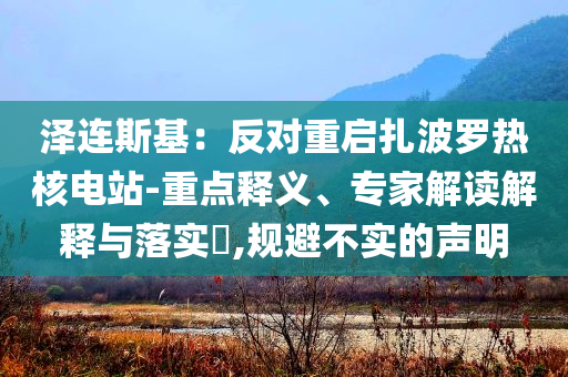 澤連斯基：反對(duì)重啟扎波羅熱核電站-重點(diǎn)釋義、專家解讀解釋與落實(shí)?,規(guī)避不實(shí)的聲明