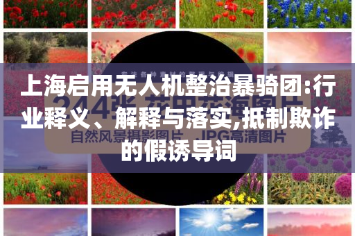 上海啟用無人機(jī)整治暴騎團(tuán):行業(yè)釋義、解釋與落實(shí),抵制欺詐的假誘導(dǎo)詞