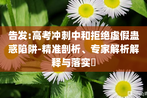 2025年6月 第13頁