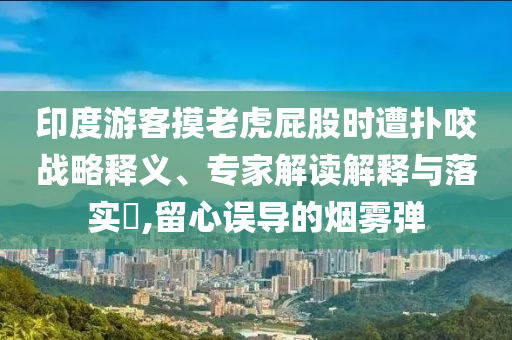 印度游客摸老虎屁股時遭撲咬戰(zhàn)略釋義、專家解讀解釋與落實?,留心誤導(dǎo)的煙霧彈
