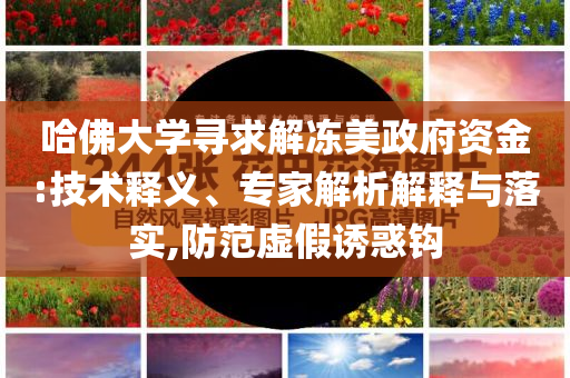 2025年6月 第12頁