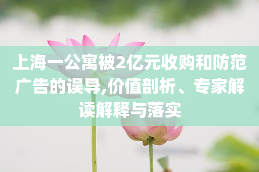 上海一公寓被2億元收購和防范廣告的誤導(dǎo),價值剖析、專家解讀解釋與落實