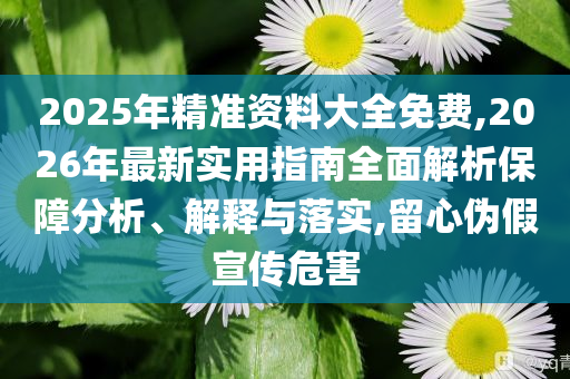 2025年精準(zhǔn)資料大全免費(fèi),2026年最新實用指南全面解析保障分析、解釋與落實,留心偽假宣傳危害