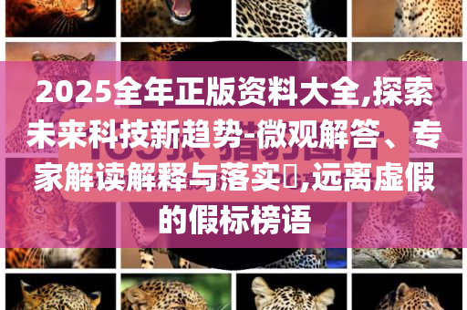 2025全年正版資料大全,探索未來(lái)科技新趨勢(shì)-微觀解答、專家解讀解釋與落實(shí)?,遠(yuǎn)離虛假的假標(biāo)榜語(yǔ)
