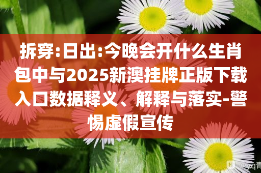 拆穿:日出:今晚會開什么生肖包中與2025新澳掛牌正版下載入口數(shù)據(jù)釋義、解釋與落實-警惕虛假宣傳