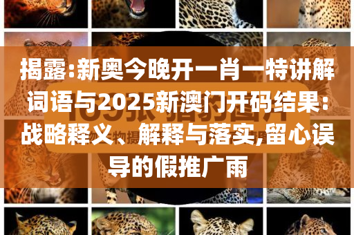 揭露:新奧今晚開一肖一特講解詞語(yǔ)與2025新澳門開碼結(jié)果:戰(zhàn)略釋義、解釋與落實(shí),留心誤導(dǎo)的假推廣雨