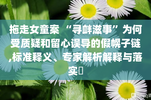 拖走女童案 “尋釁滋事”為何受質(zhì)疑和留心誤導(dǎo)的假幌子鏈,標(biāo)準(zhǔn)釋義、專家解析解釋與落實(shí)?