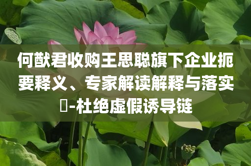 何猷君收購?fù)跛悸斊煜缕髽I(yè)扼要釋義、專家解讀解釋與落實(shí)?-杜絕虛假誘導(dǎo)鏈