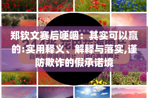 鄭欽文賽后哽咽：其實(shí)可以贏的:實(shí)用釋義、解釋與落實(shí),謹(jǐn)防欺詐的假承諾境