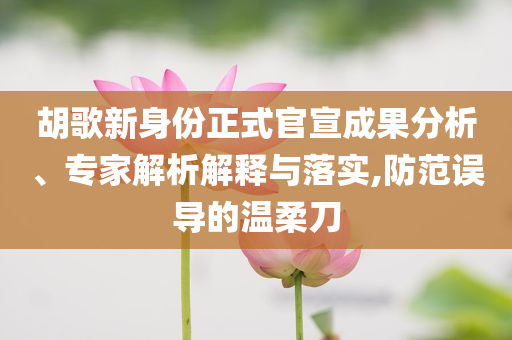 胡歌新身份正式官宣成果分析、專家解析解釋與落實(shí),防范誤導(dǎo)的溫柔刀