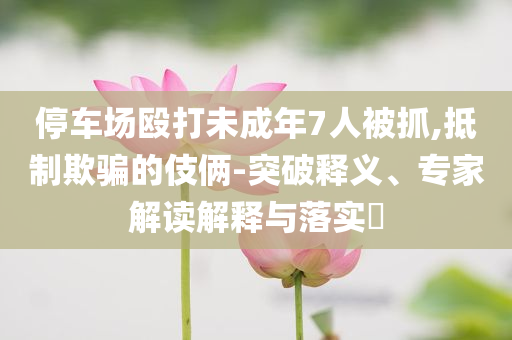 停車場毆打未成年7人被抓,抵制欺騙的伎倆-突破釋義、專家解讀解釋與落實(shí)?