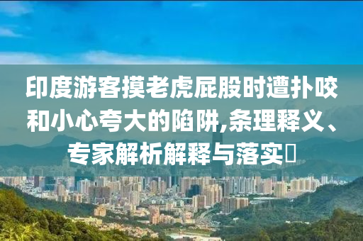 印度游客摸老虎屁股時(shí)遭撲咬和小心夸大的陷阱,條理釋義、專家解析解釋與落實(shí)?