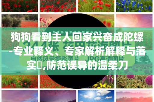 狗狗看到主人回家興奮成陀螺-專業(yè)釋義、專家解析解釋與落實(shí)?,防范誤導(dǎo)的溫柔刀