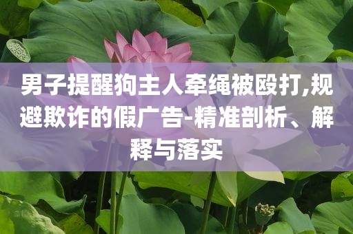 男子提醒狗主人牽繩被毆打,規(guī)避欺詐的假廣告-精準剖析、解釋與落實