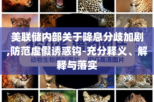 美聯(lián)儲內(nèi)部關(guān)于降息分歧加劇,防范虛假誘惑鉤-充分釋義、解釋與落實(shí)