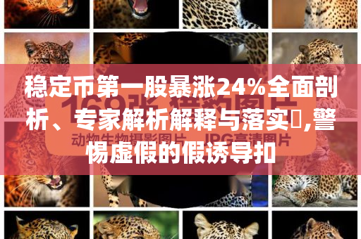 穩(wěn)定幣第一股暴漲24%全面剖析、專家解析解釋與落實(shí)?,警惕虛假的假誘導(dǎo)扣