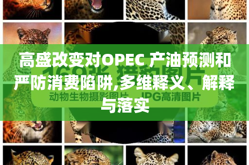 高盛改變對OPEC 產(chǎn)油預(yù)測和嚴(yán)防消費(fèi)陷阱,多維釋義、解釋與落實(shí)