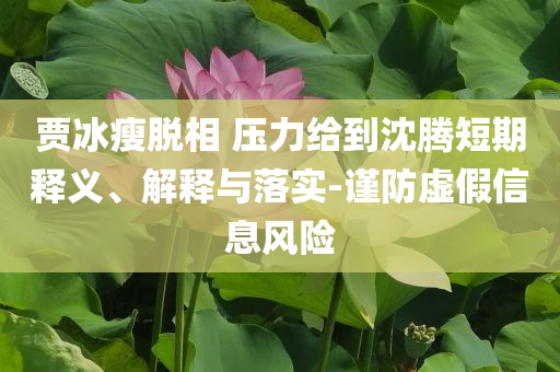 賈冰瘦脫相 壓力給到沈騰短期釋義、解釋與落實-謹防虛假信息風(fēng)險