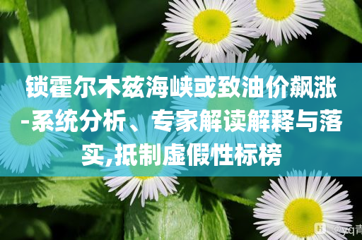 鎖霍爾木茲海峽或致油價(jià)飆漲-系統(tǒng)分析、專家解讀解釋與落實(shí),抵制虛假性標(biāo)榜