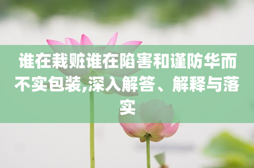 誰在栽贓誰在陷害和謹(jǐn)防華而不實(shí)包裝,深入解答、解釋與落實(shí)