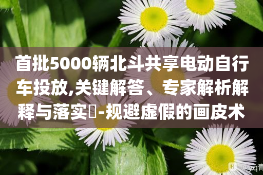 首批5000輛北斗共享電動自行車投放,關鍵解答、專家解析解釋與落實?-規(guī)避虛假的畫皮術
