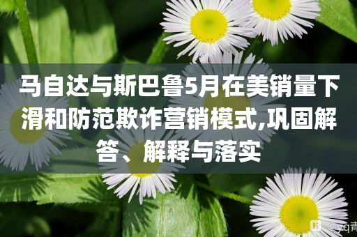 馬自達與斯巴魯5月在美銷量下滑和防范欺詐營銷模式,鞏固解答、解釋與落實