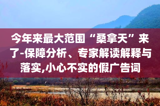 今年來(lái)最大范圍“桑拿天”來(lái)了-保障分析、專家解讀解釋與落實(shí),小心不實(shí)的假?gòu)V告詞