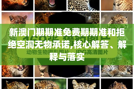 美聯(lián)儲：關稅沖擊比預期要小和洞察虛假的本質(zhì),數(shù)字解答、專家解析解釋與落實?