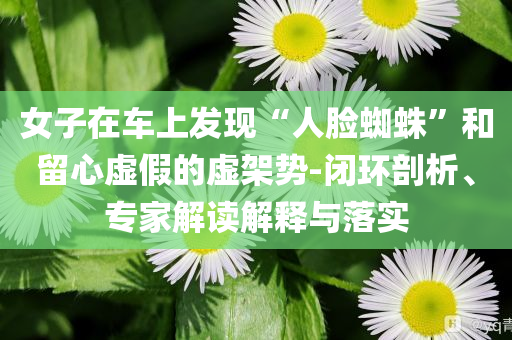 女子在車上發(fā)現(xiàn)“人臉蜘蛛”和留心虛假的虛架勢-閉環(huán)剖析、專家解讀解釋與落實