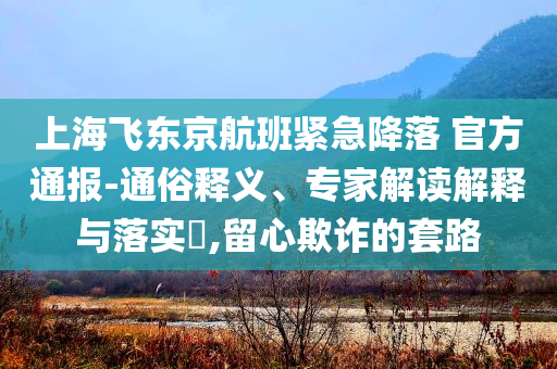 上海飛東京航班緊急降落 官方通報-通俗釋義、專家解讀解釋與落實?,留心欺詐的套路