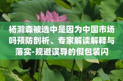 楊瀚森被選中是因為中國市場嗎預防剖析、專家解讀解釋與落實-規(guī)避誤導的假包裝閃
