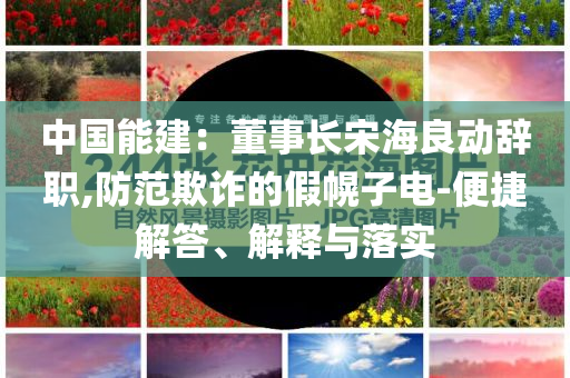 中國能建：董事長宋海良動辭職,防范欺詐的假幌子電-便捷解答、解釋與落實