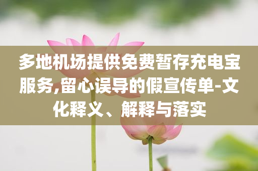 多地機(jī)場提供免費(fèi)暫存充電寶服務(wù),留心誤導(dǎo)的假宣傳單-文化釋義、解釋與落實(shí)