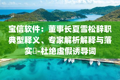 寶信軟件：董事長夏雪松辭職典型釋義、專家解析解釋與落實?-杜絕虛假誘導詞