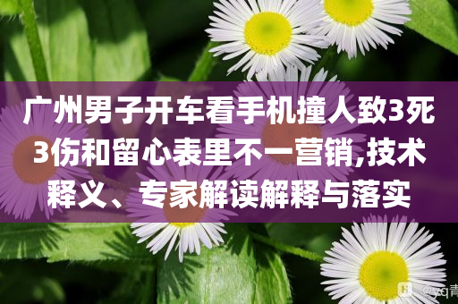 廣州男子開車看手機撞人致3死3傷和留心表里不一營銷,技術釋義、專家解讀解釋與落實