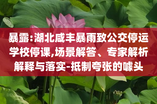 暴露:湖北咸豐暴雨致公交停運學(xué)校停課,場景解答、專家解析解釋與落實-抵制夸張的噱頭