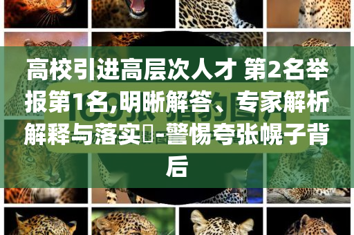 高校引進(jìn)高層次人才 第2名舉報第1名,明晰解答、專家解析解釋與落實?-警惕夸張幌子背后